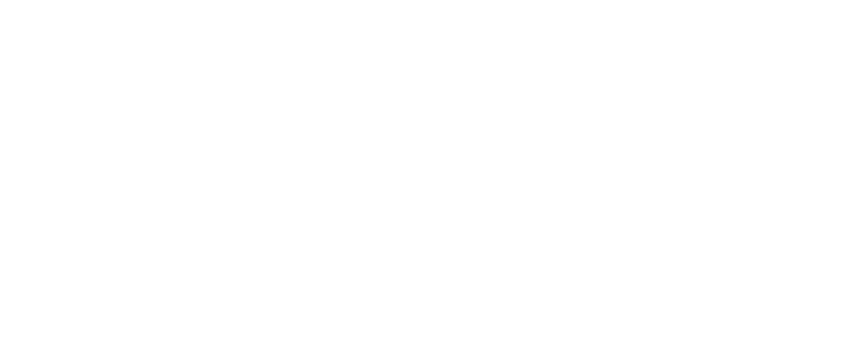 Delhi 6